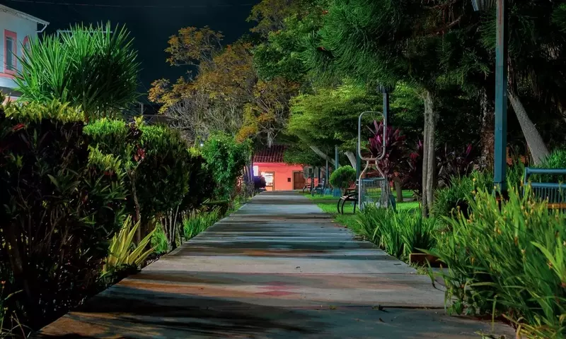 Los Secretos Nocturnos de tu Jardín: Guía Completa para un Cuidado Óptimo
