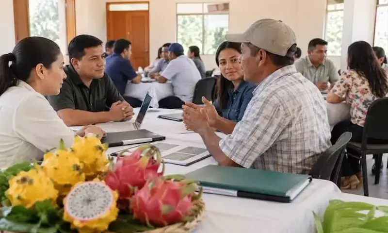 Ecuador avanza en la investigación de pitahaya para combatir nematodos y mejorar la producción