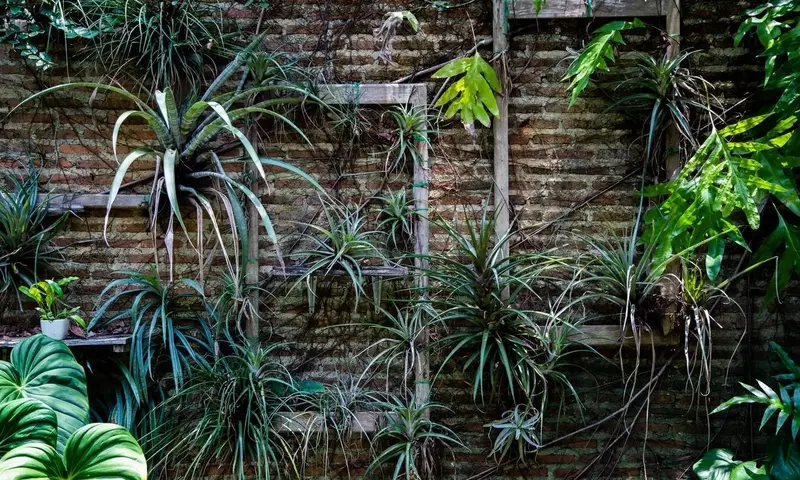 Amplía Visualmente tu Jardín: Trucos de Diseño para Maximizar el Espacio Exterior
