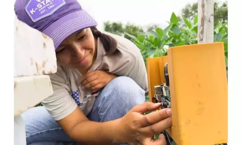 Micrófonos en Plantas de Soja: Una Nueva Herramienta para Detectar Plagas Ocultas