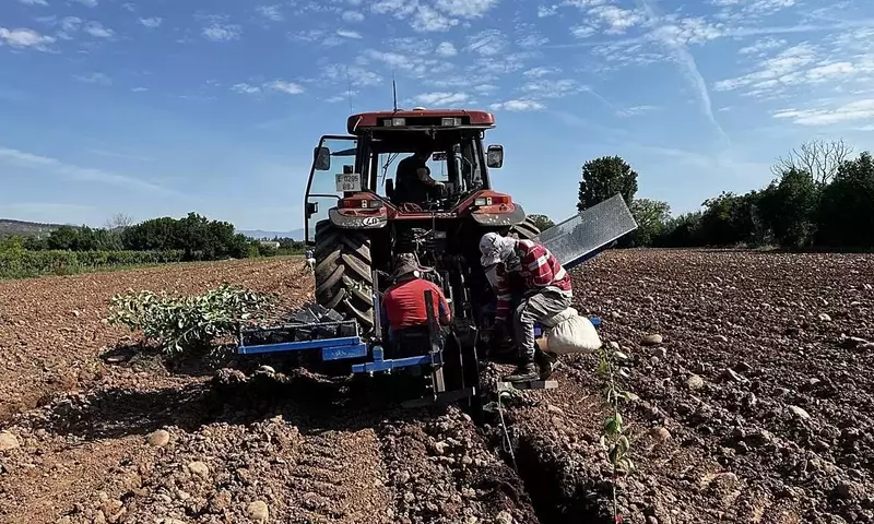 Innovación en el Cultivo de Peras: Un Modelo Experimental en La Rioja