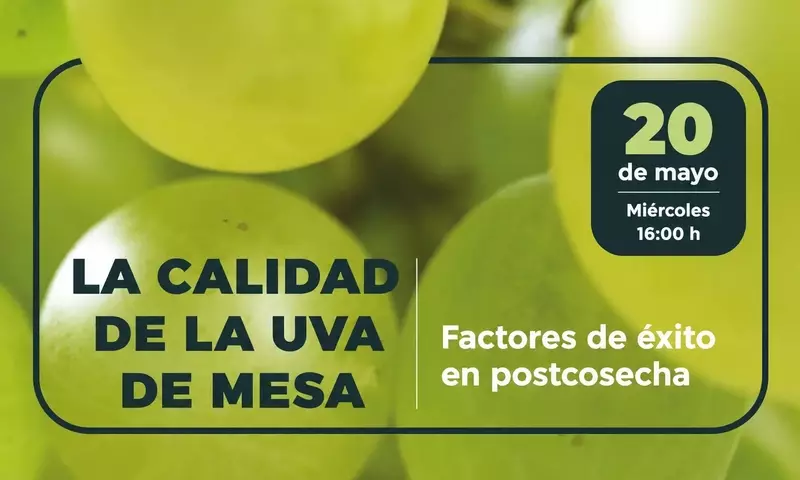 Guía Integral para la Conservación Postcosecha de la Uva de Mesa