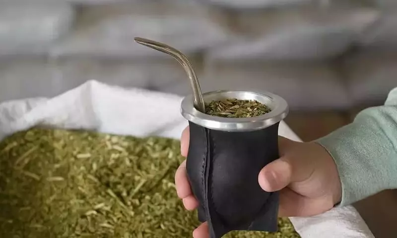 Argentina: Clarificación de las Regulaciones del Glifosato en la Producción de Yerba Mate
