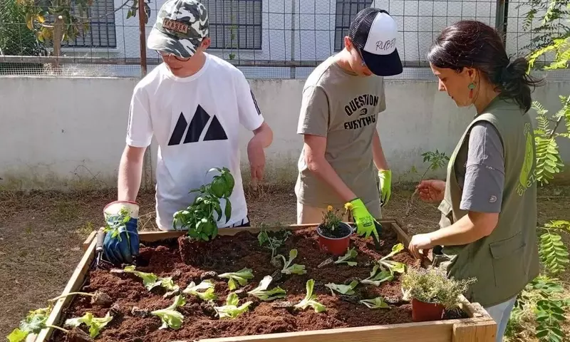 Cultivando el Futuro: Huertos Escolares para una Educación Integral y Sostenible