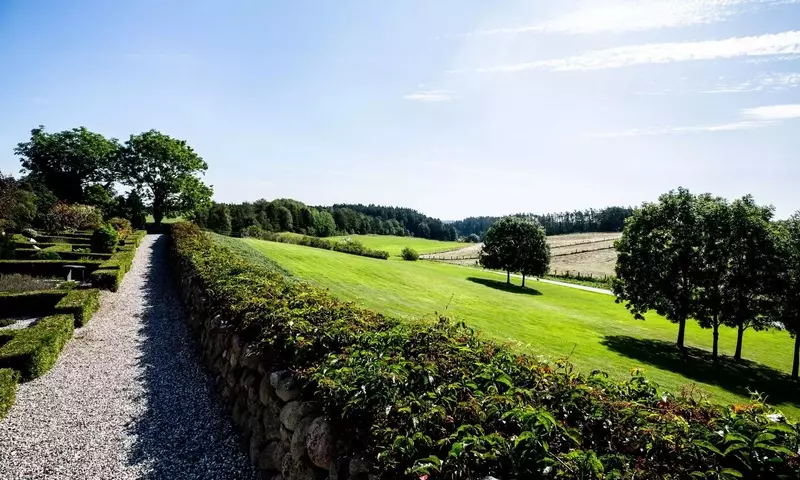 Caminos de Jardín Encantadores y Rentables: Guía Integral de Diseño y Selección de Materiales