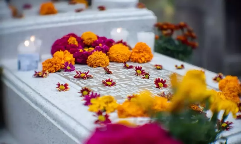 El Lenguaje Floral del Día de Muertos: Un Vínculo entre Mundos
