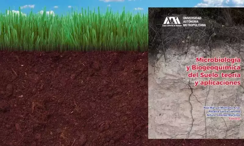 Microbiología y Biogeoquímica del Suelo: Pilares para la Sostenibilidad Global