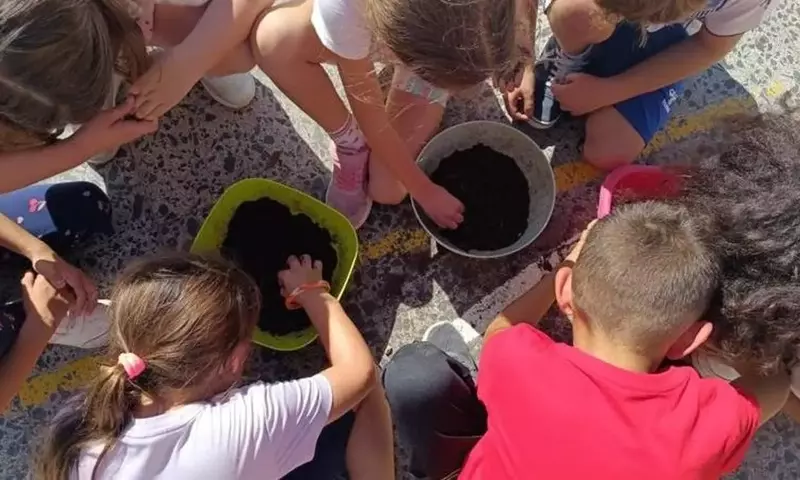 Iniciativa de Huertos Escolares Revitaliza la Educación Ecológica en Vinaròs