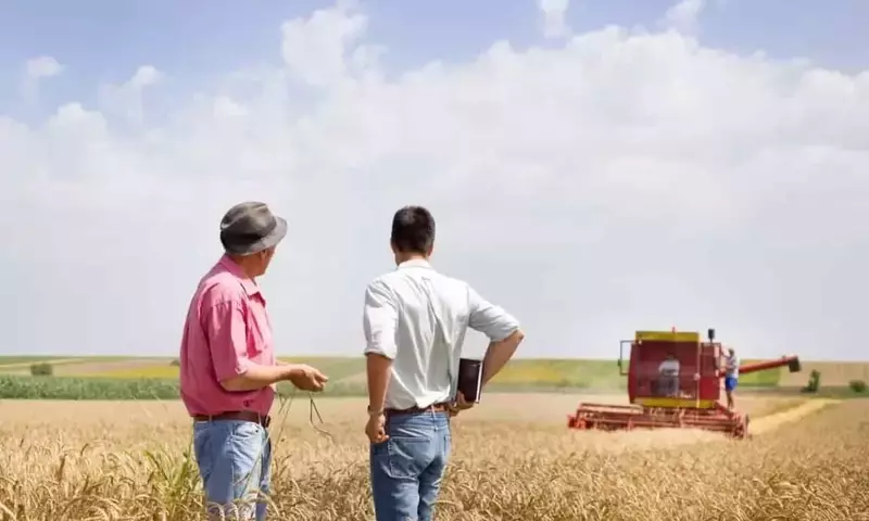 La Producción Agrícola Europea se Desacelera Frente a Potencias Mundiales