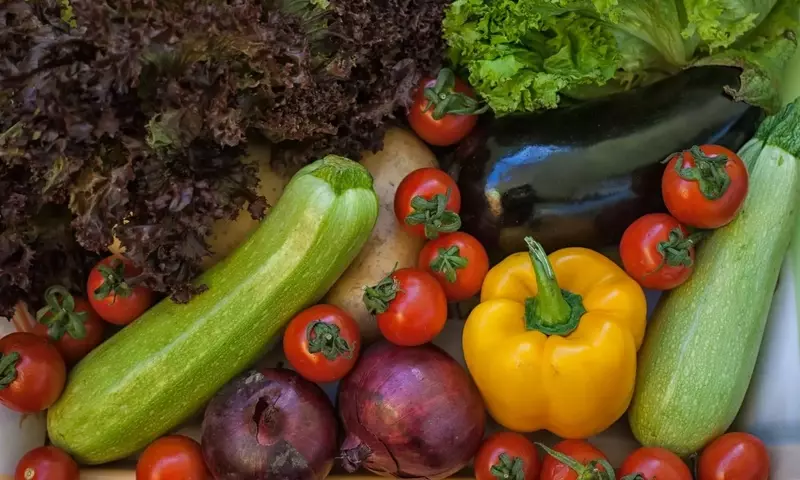 Cultivo Perpetuo: Hortalizas y Frutas que Regeneran Tras la Cosecha