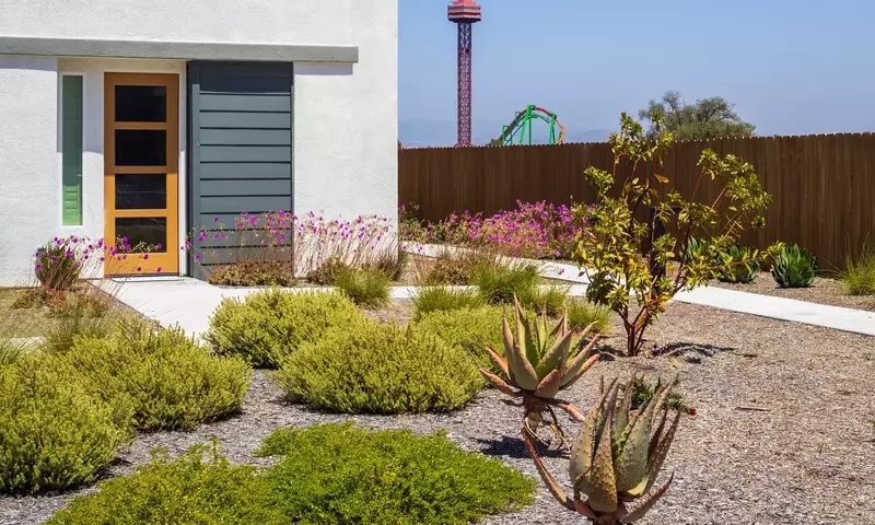 Cómo Crear un Jardín de Bajo Mantenimiento: Guía Práctica para un Oasis Sostenible