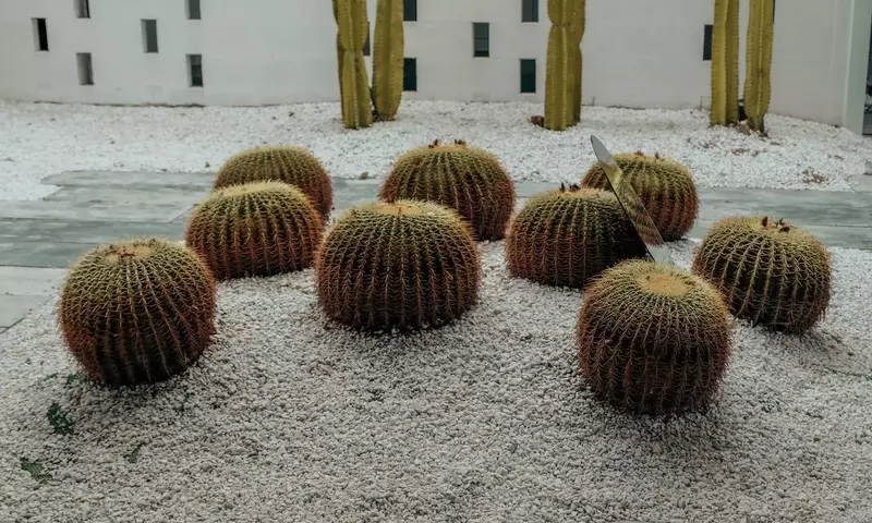 Diseño de Jardines: Creando Oasis Personales con Estilo y Sostenibilidad