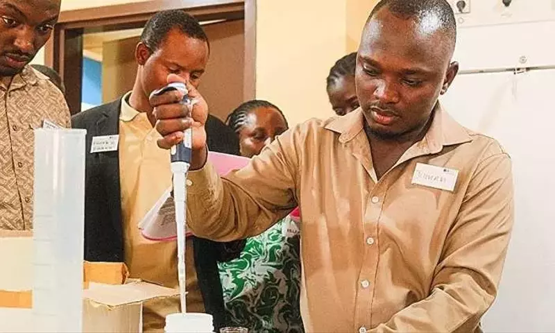 Tanzania implementa innovadora prueba rápida para detectar la devastadora enfermedad del añublo del trigo