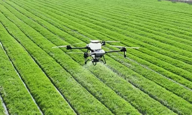 La Agricultura de Precisión: Transformando el Panorama Global y su Rentabilidad