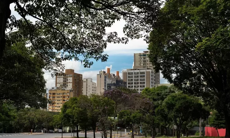 La gestión integral de la vegetación urbana: un enfoque hacia la sostenibilidad