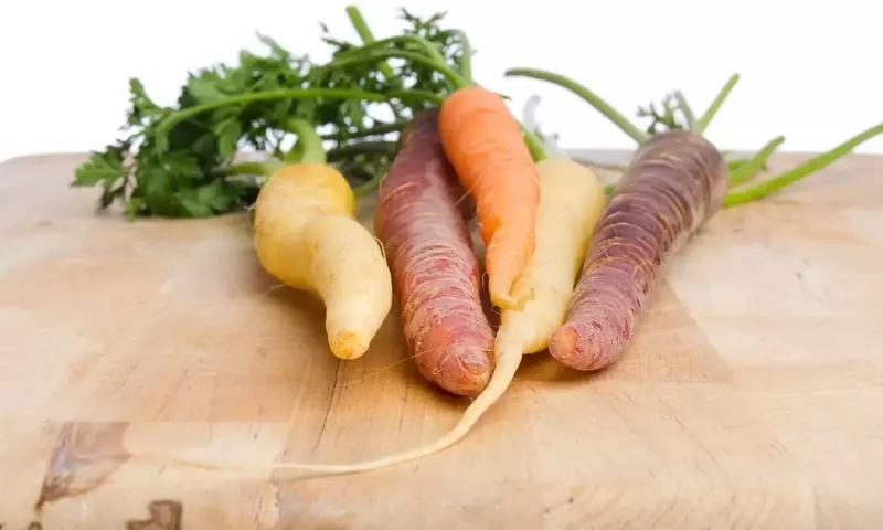 Descubriendo la paleta de colores de las zanahorias: variedades, beneficios y cultivo en casa