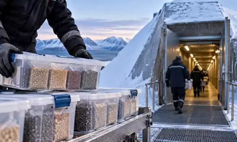 Ucrania Salvaguarda su Patrimonio Agrícola: 773 Muestras de Semillas Depositadas en el Ártico