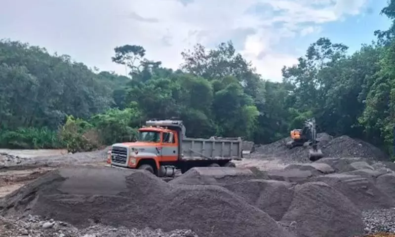 Redada internacional contra crímenes ambientales en Latinoamérica