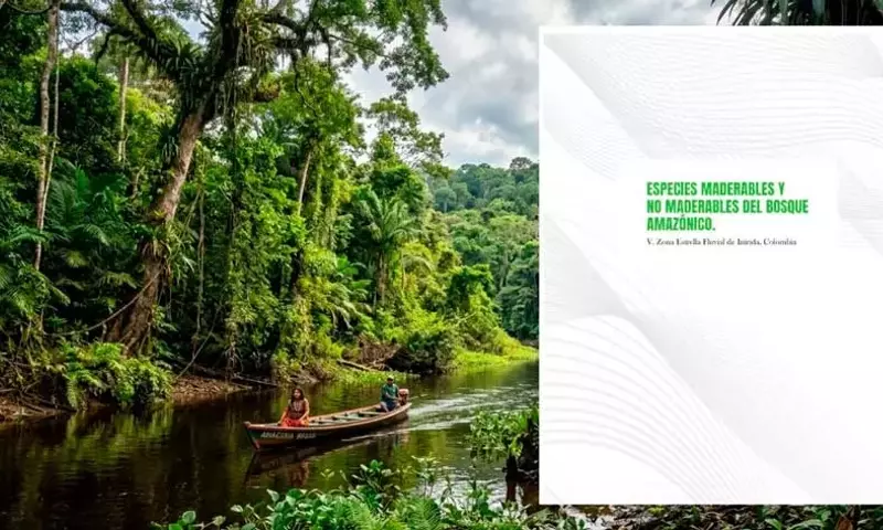 Especies maderables y no maderables del bosque amazónico colombiano: Un estudio exhaustivo del Instituto SINCHI