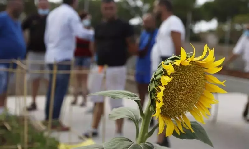 Avanzando en la Agricultura Urbana Andaluza: Inclusión, Compostaje y Conciencia Comunitaria