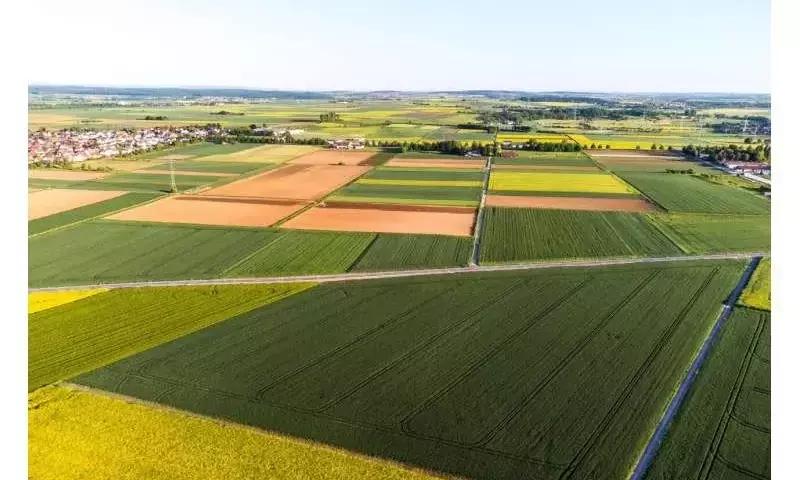 La Diversificación Agrícola: Un Escudo Crucial Contra los Fenómenos Climáticos Extremos