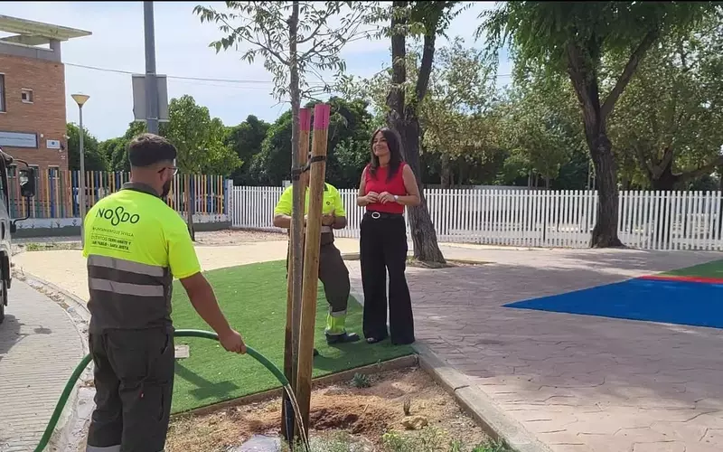 Estrategia de Riego para la Consolidación de Árboles Jóvenes en Sevilla