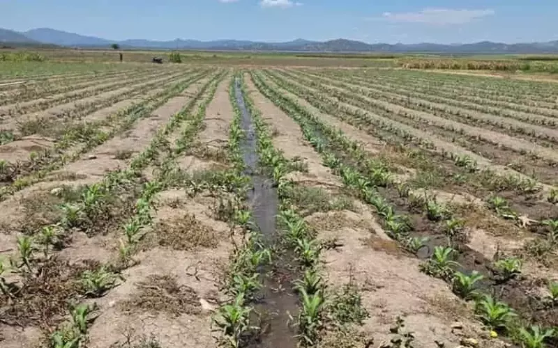 El Salvador busca asegurar su producción agrícola con un ambicioso plan de riego