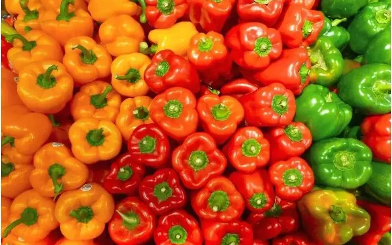 El Enigma del Pimiento: Cómo el Color Revela su Dulzura y Valor Comercial