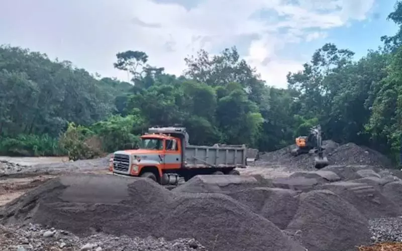 Redada internacional contra crímenes ambientales en Latinoamérica